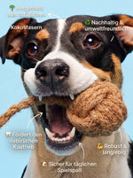 CocoPaw™ Ball